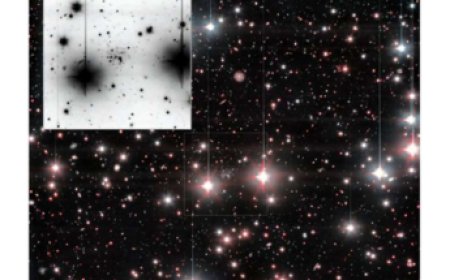 Andromeda XXXVI Discovery Sheds Light on Dark Matter Rich Dwarf Galaxies