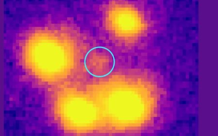 New Einstein Cross Reveals Surprising Galaxy Evolution