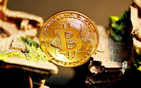 Bitcoin Holds Steady Near $75,000 as Cryptocurrency Prices Gain Support From Institutional Demand