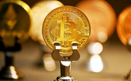 Cryptocurrency Prices Rise as Accumulation Strengthens Market Sentiment; Bitcoin Nears $78,100