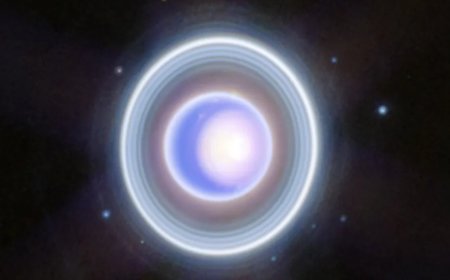 Uranus’ Outer Rings May Reveal Hidden Moons, Scientists Say