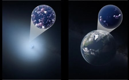 A Visitor from Another Star: Interstellar Comet Reveals Alien Origins