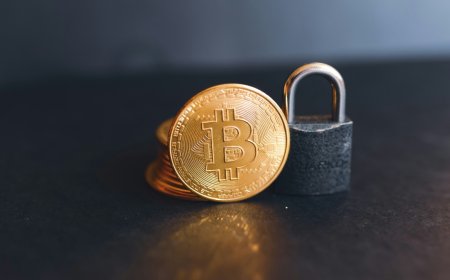 Nine Crypto Scam Centres Targeting US Users Shut Down in Joint Operation Involving UAE, US and China