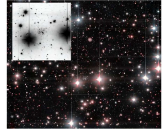 Andromeda XXXVI Discovery Sheds Light on Dark Matter Rich Dwarf Galaxies