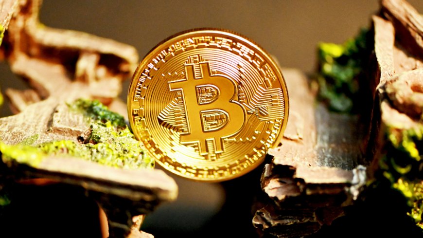 Bitcoin Holds Steady Near $75,000 as Cryptocurrency Prices Gain Support From Institutional Demand