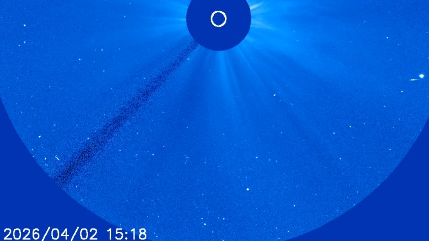 NASA Observes Rare Sungrazer Comet Disintegration Near the Sun